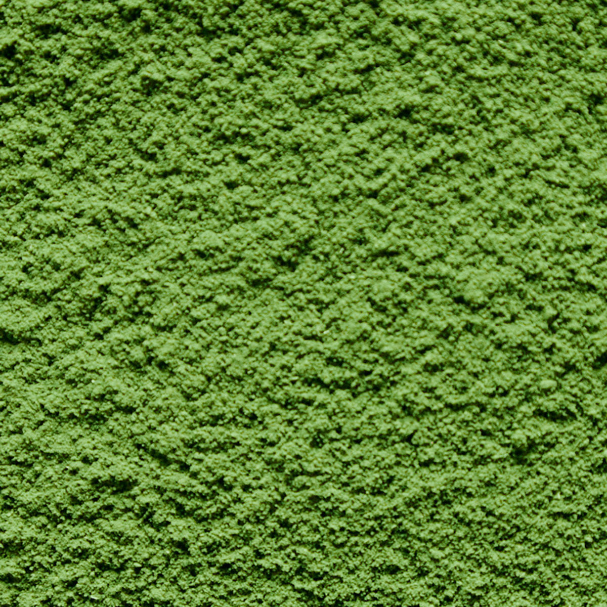 Ceremonial Matcha Aya no Mori