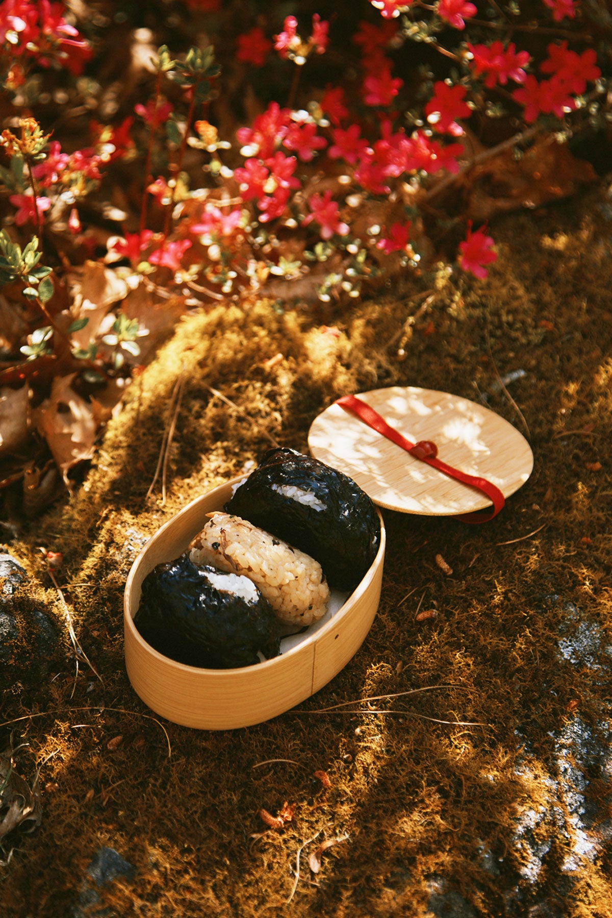 Bamboo Bento Box by Kohchosai Kosuga – Simply Native