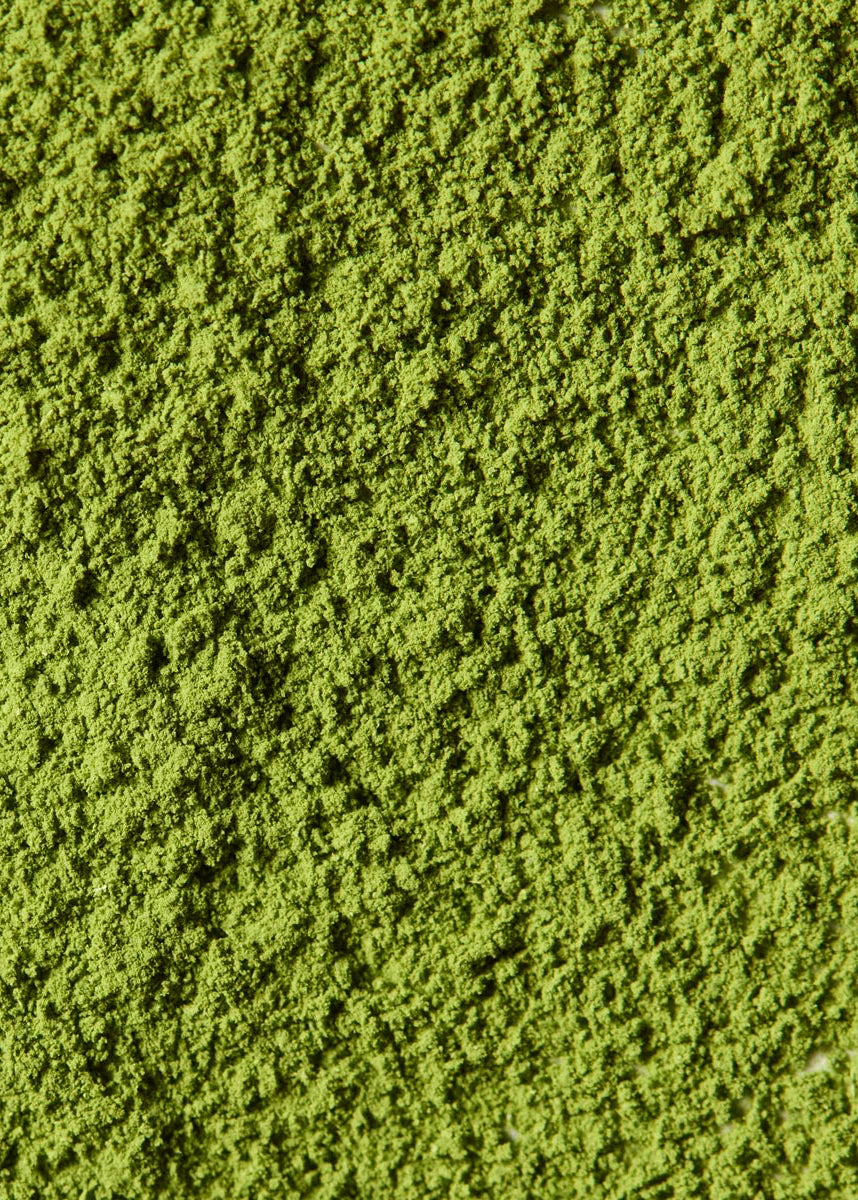 Ceremonial Matcha Ryo no Kage 龍の影