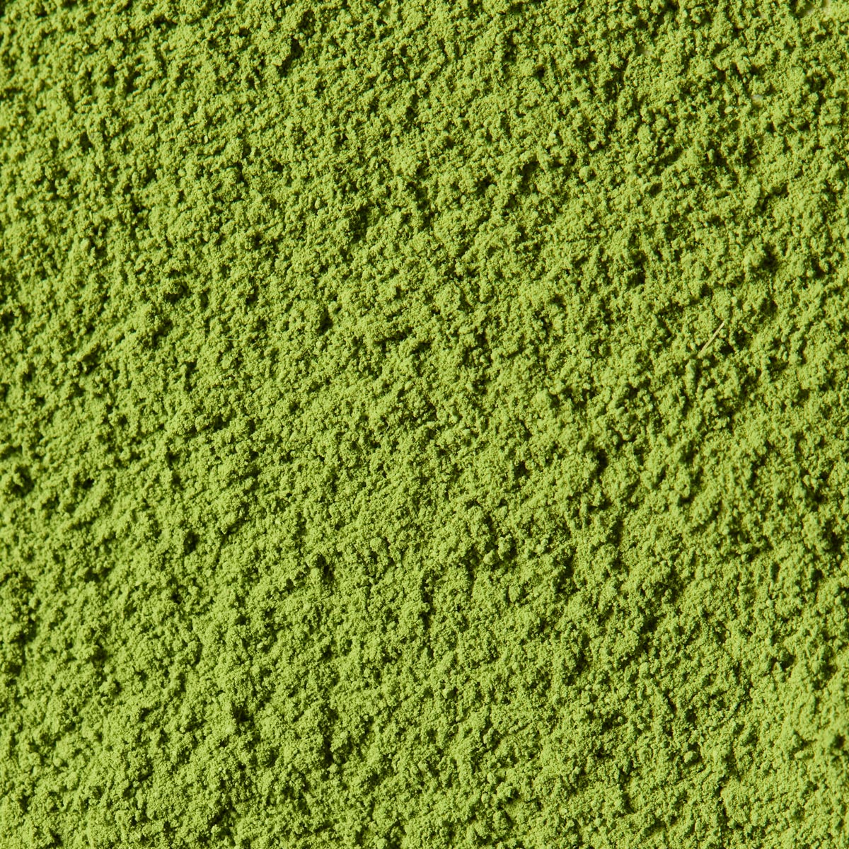 Ceremonial Matcha Shohaku 松柏