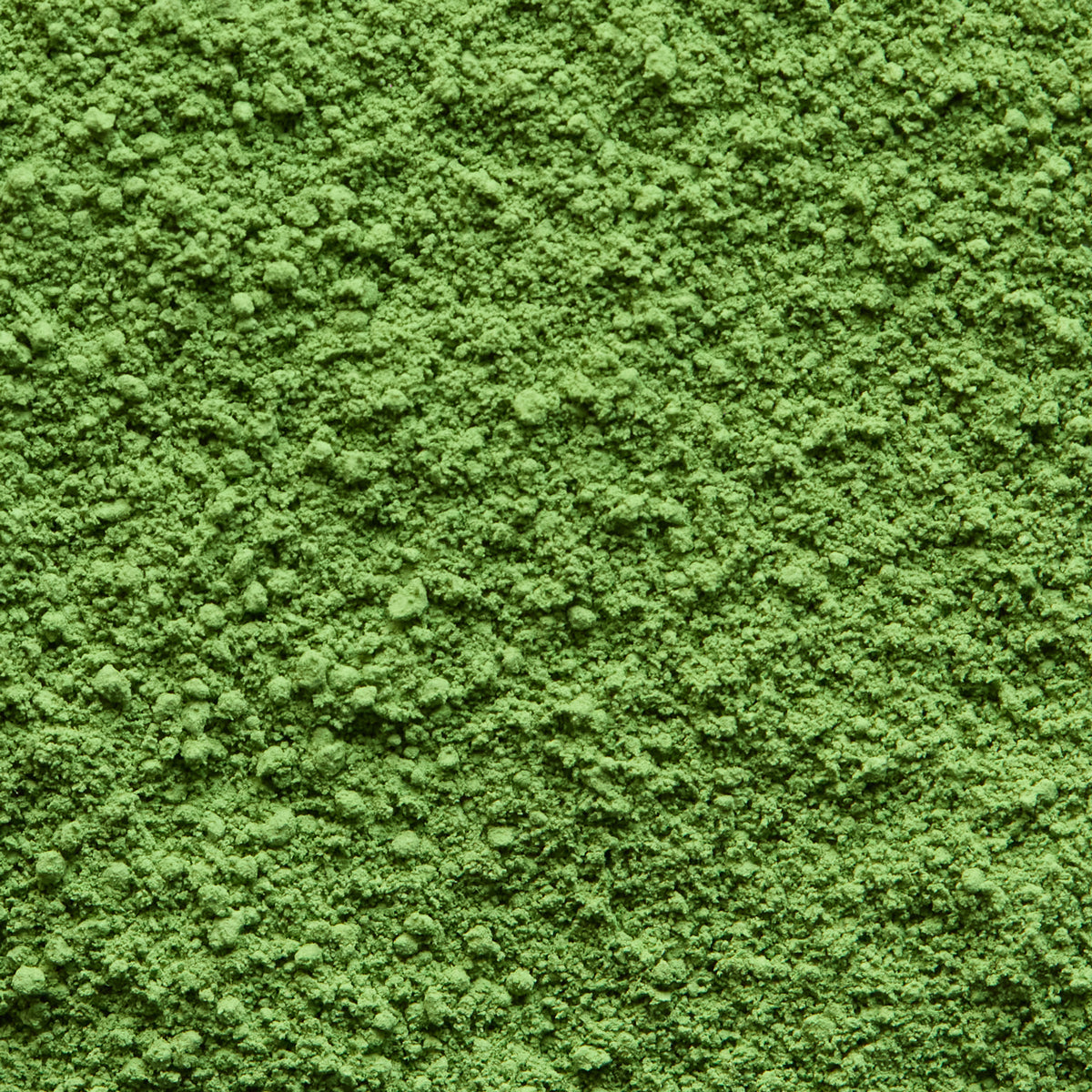 Ceremonial Matcha Senjin-no-Mukashi '先陣の昔' | Yamamasa Koyamaen