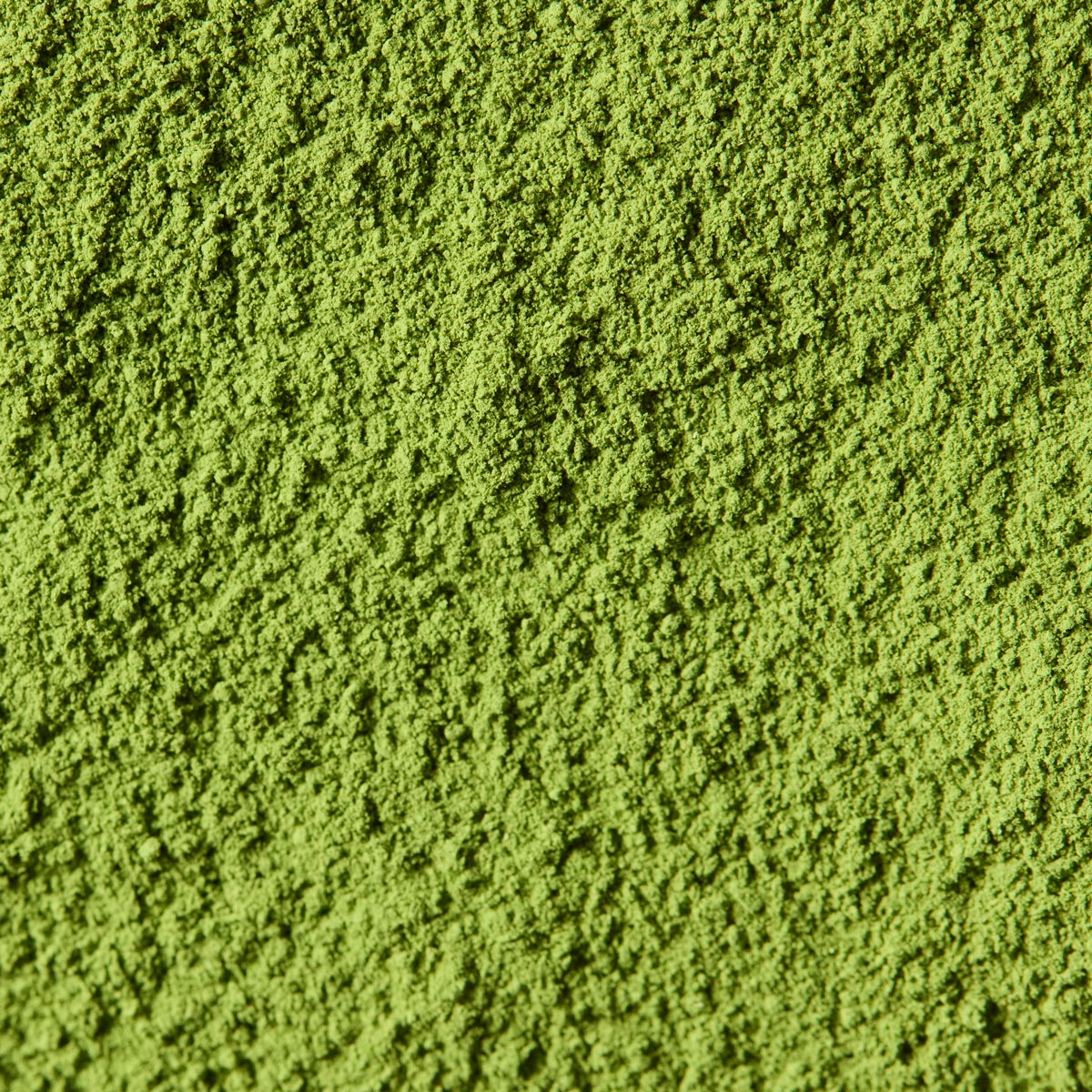 Premium Ceremonial Matcha Koicha Zuiho '瑞鳳' | Kanbayashi Shunsho