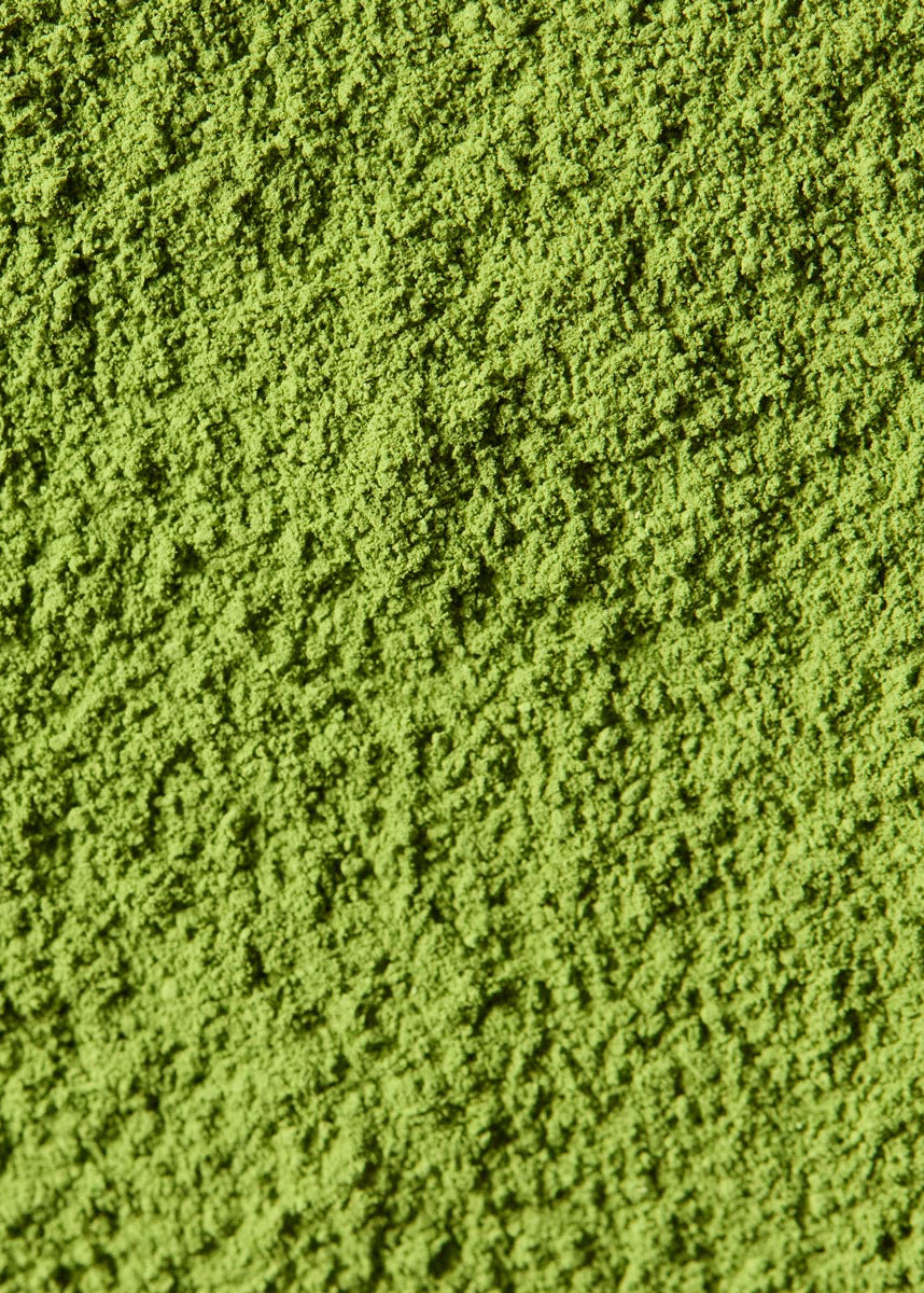 Premium Ceremonial Matcha Koicha Zuiho 瑞祥