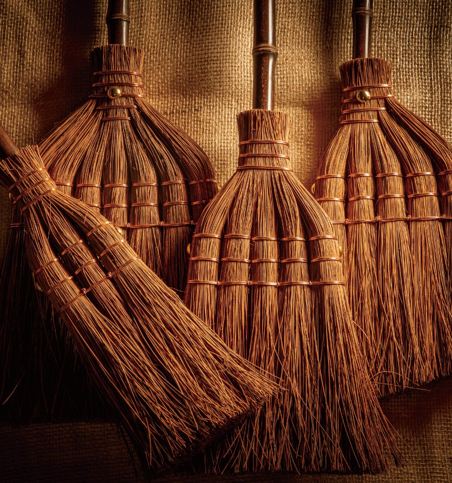 Long Handled Fern Broom