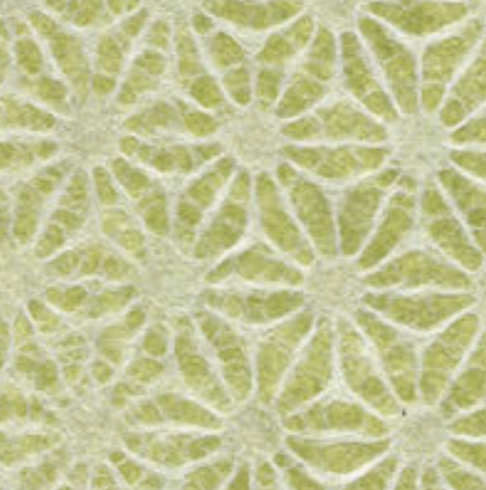 Washi Wrapping roll / 麻の葉 Green 10m