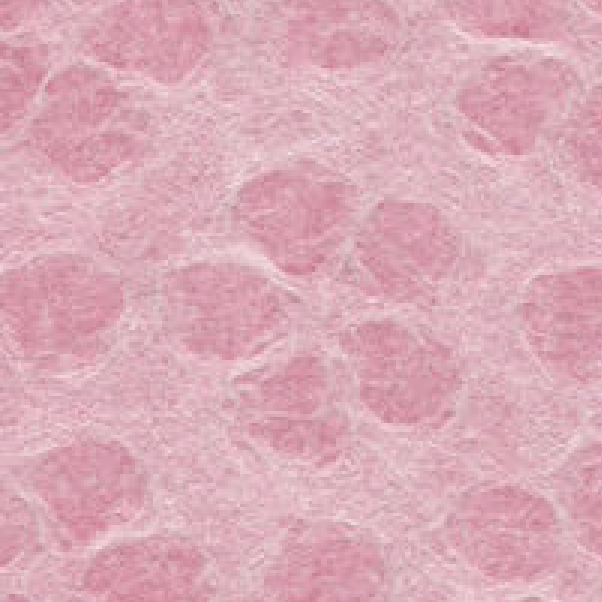 Washi Wrapping roll / 桜 Sakura 10m