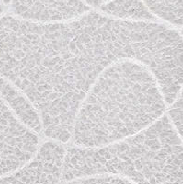 Washi Wrapping paper / 浮雲 White 545mm