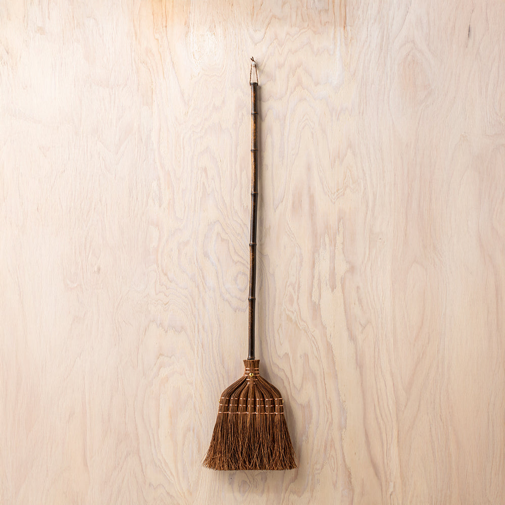 Long Handled Fern Broom