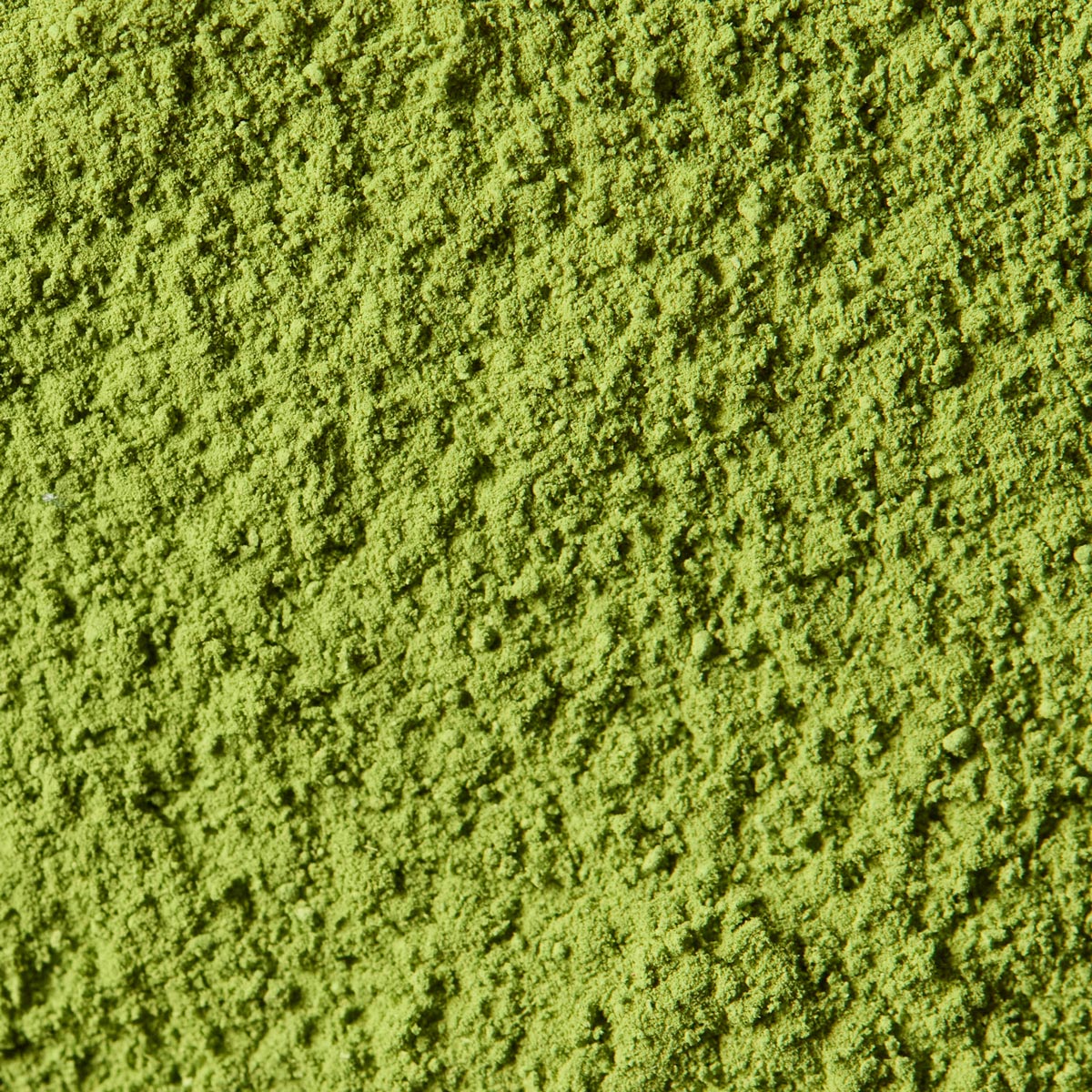 Ceremonial Matcha Aoarashi '青嵐' | Marukyu Koyamaen