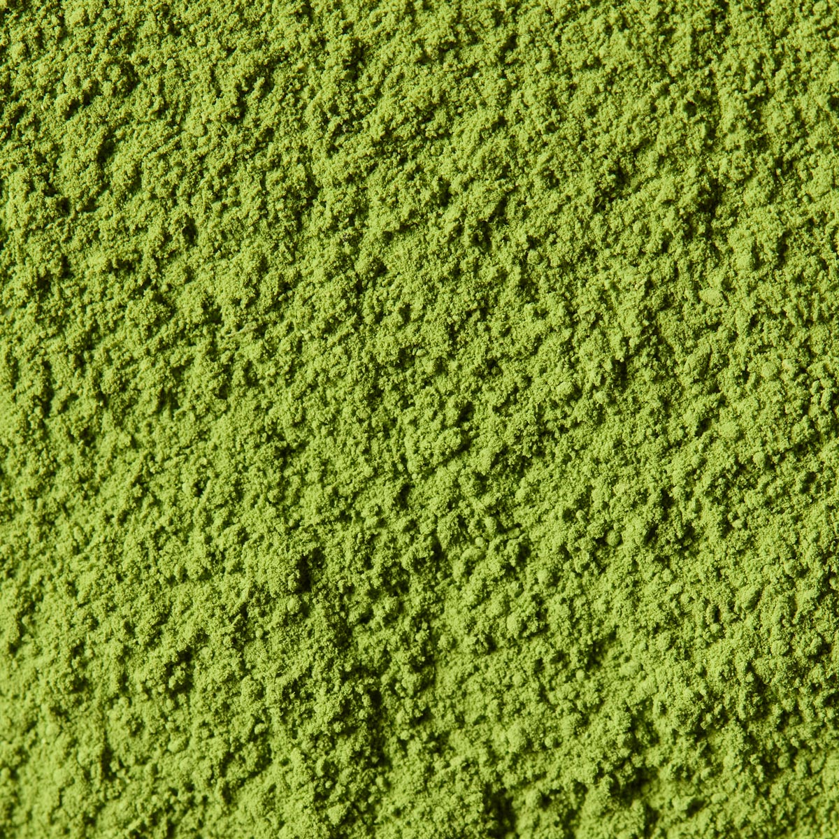 Ceremonial Matcha  Goun no Shiro '五雲の白' | Kanbayashi Shunsho