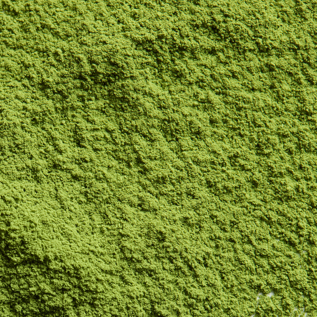 Ceremonial Matcha Ichi no Shiro '一の白' | Nakamura Chaho