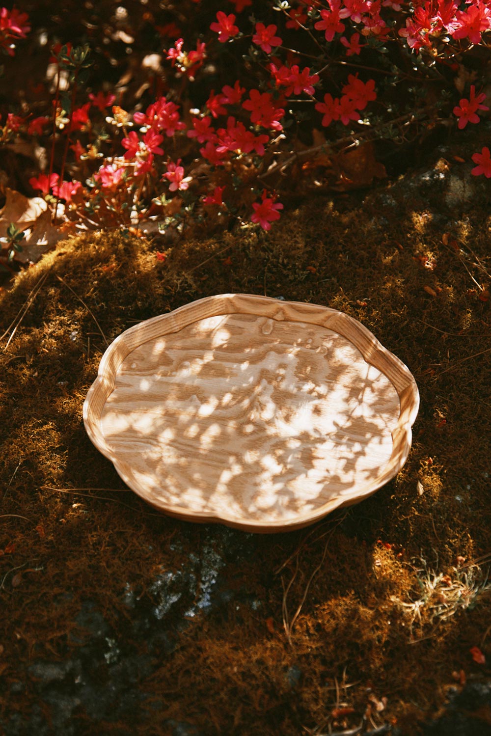 Wooden Tray | Ichikawa Woodworks