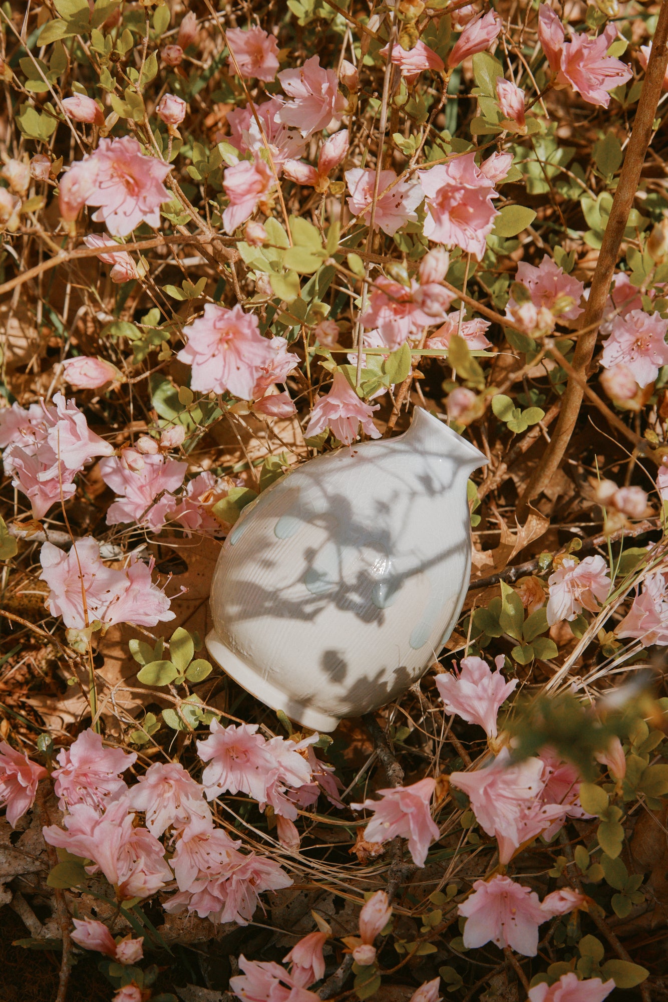 Sake Bottle & Cup | Dainichi-gama