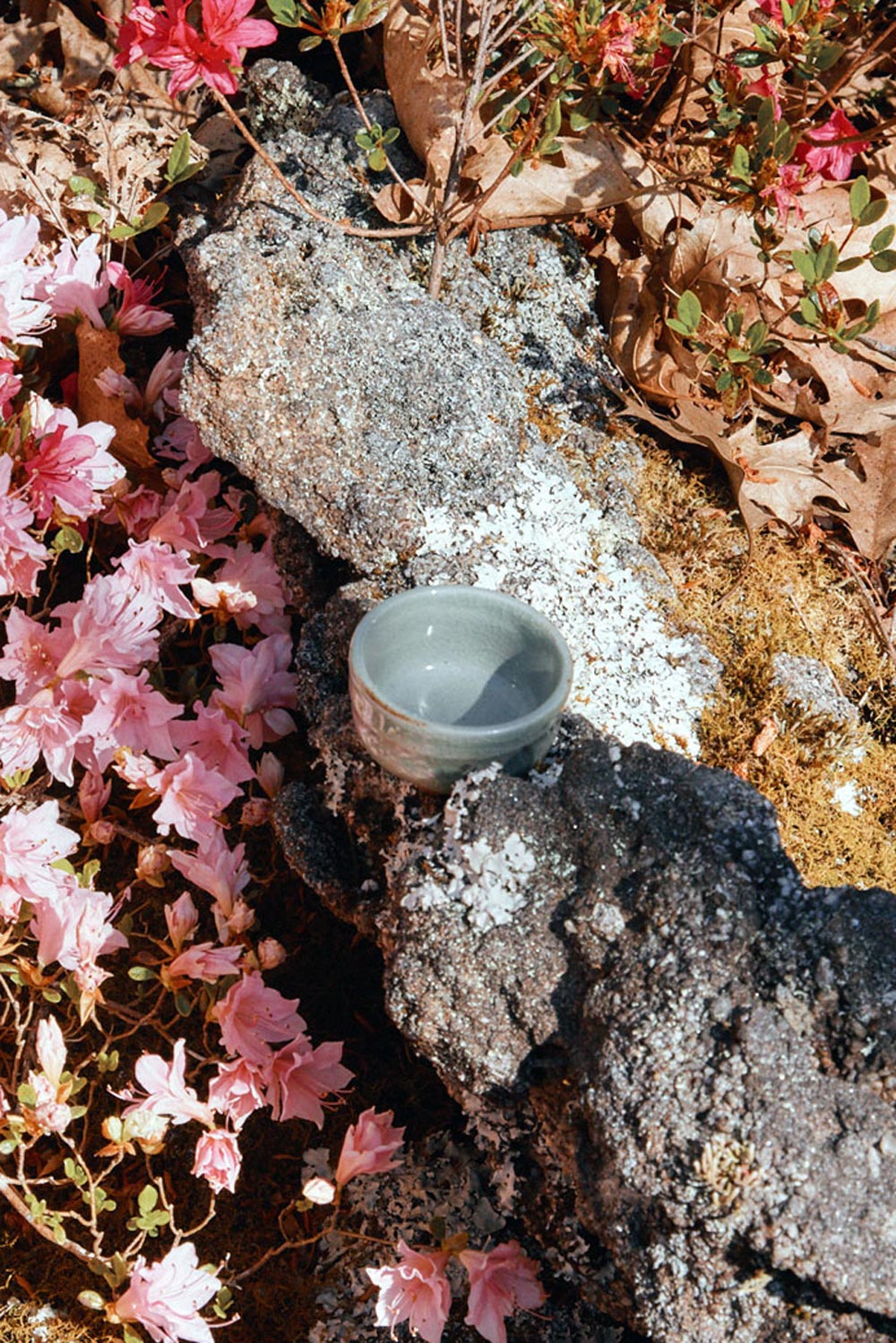 Sake Bottle & Cup | Dainichi-gama