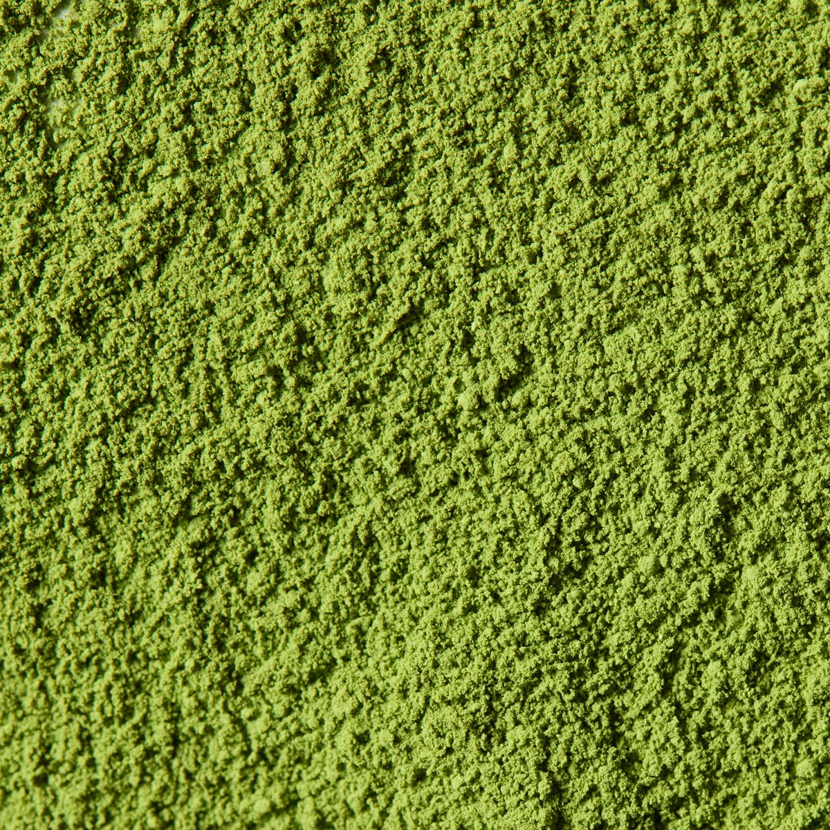 Ceremonial Matcha Isuzu '五十鈴' | Marukyu Koyamaen