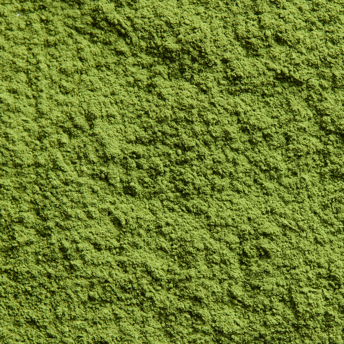 Ceremonial Matcha Izumo no Shiro '出雲の白' | Nakamura Chaho