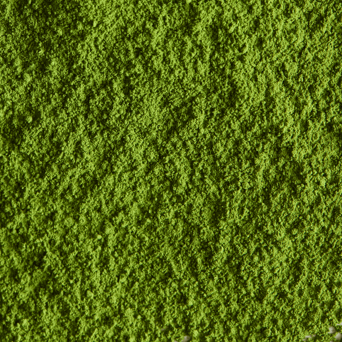 Ceremonial Matcha Ikka Goyo '一華五葉' | Ryuouen for Simply Native