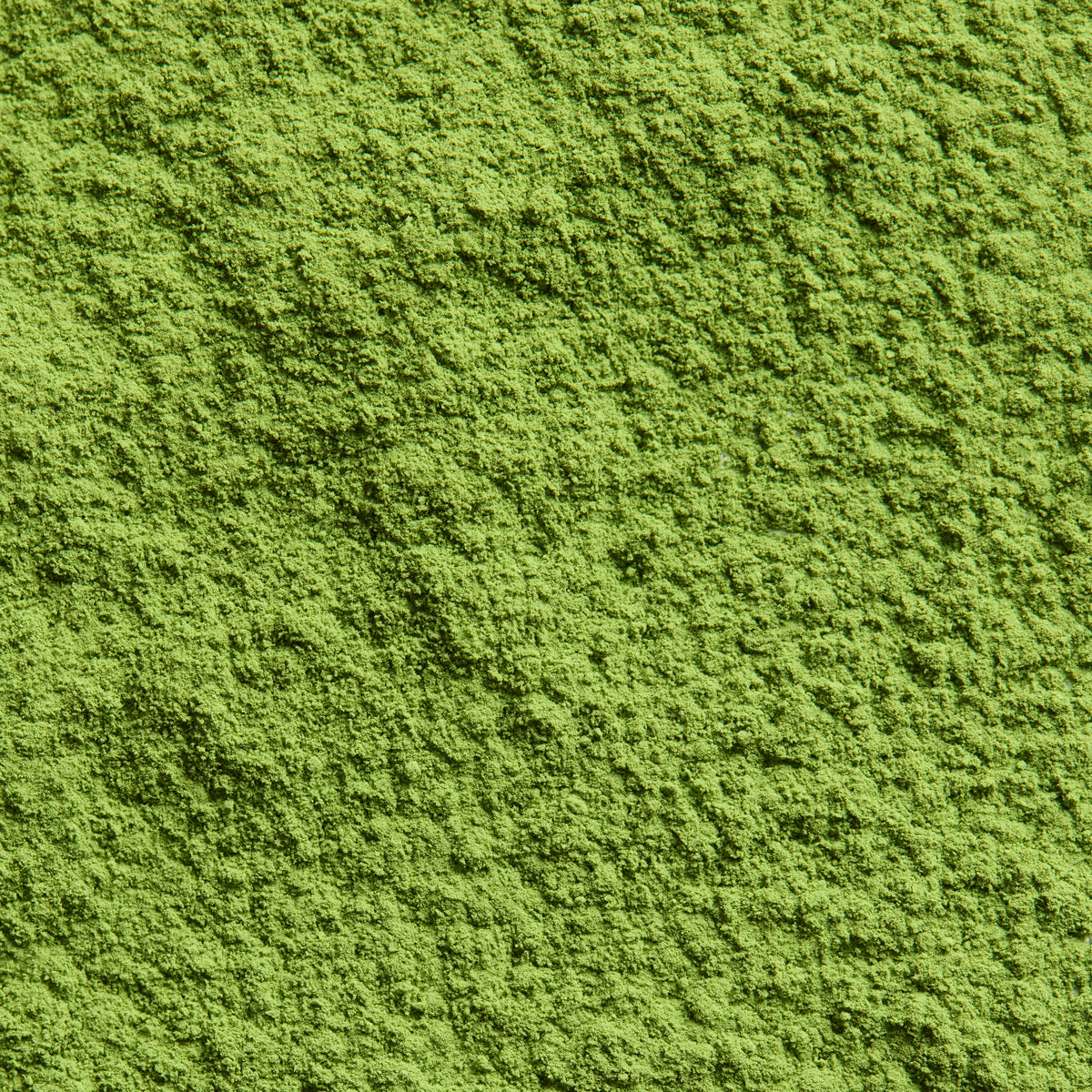 Ceremonial Matcha Keiko ’慶香’ | Nishimura Banchaya Honten