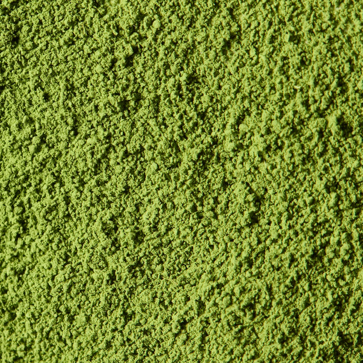 Ceremonial Matcha Naka no Shiro '中之白' | Nakamura Chaho