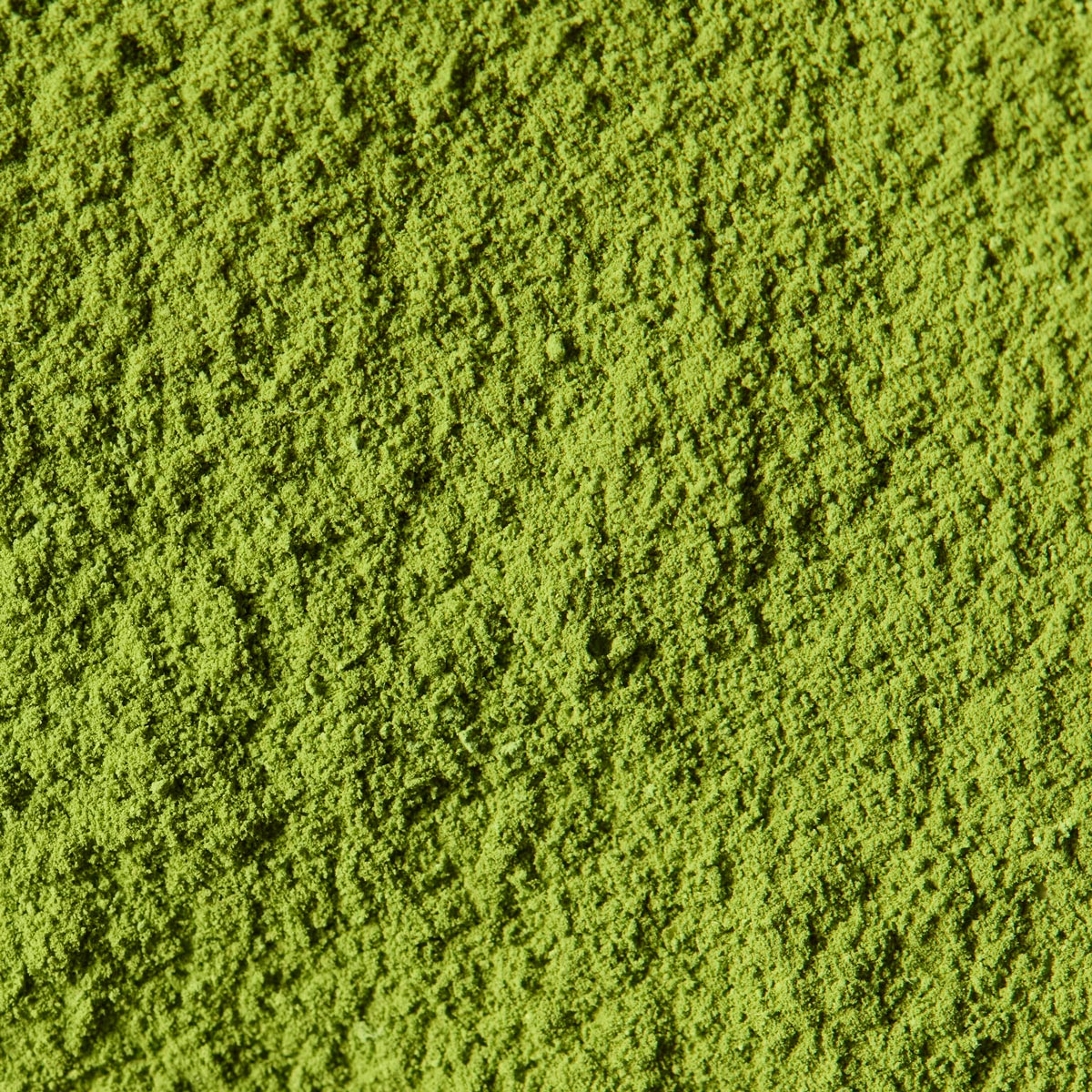 Ceremonial Matcha Ousu おうす | Ryuouen