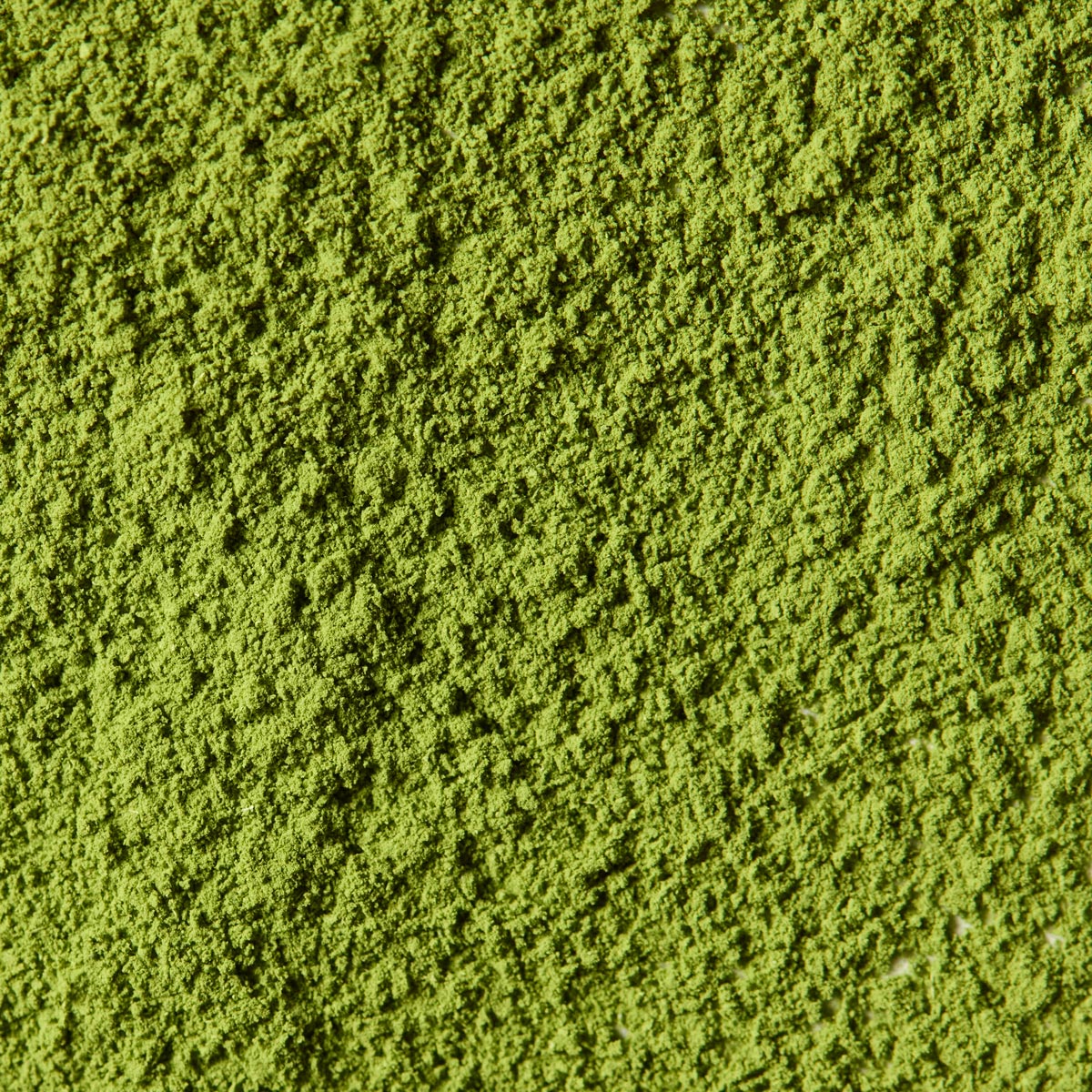 Ceremonial Matcha  Ryo no Kage '龍の影' | Kanbayashi Shunsho