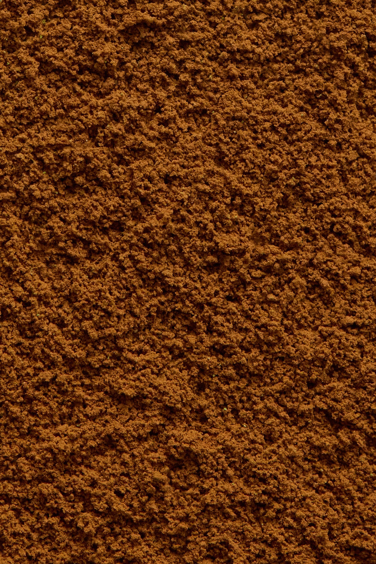 Kuromame Powder