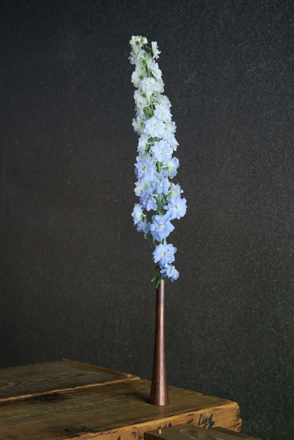 Ichirin Copper Alloy Vase
