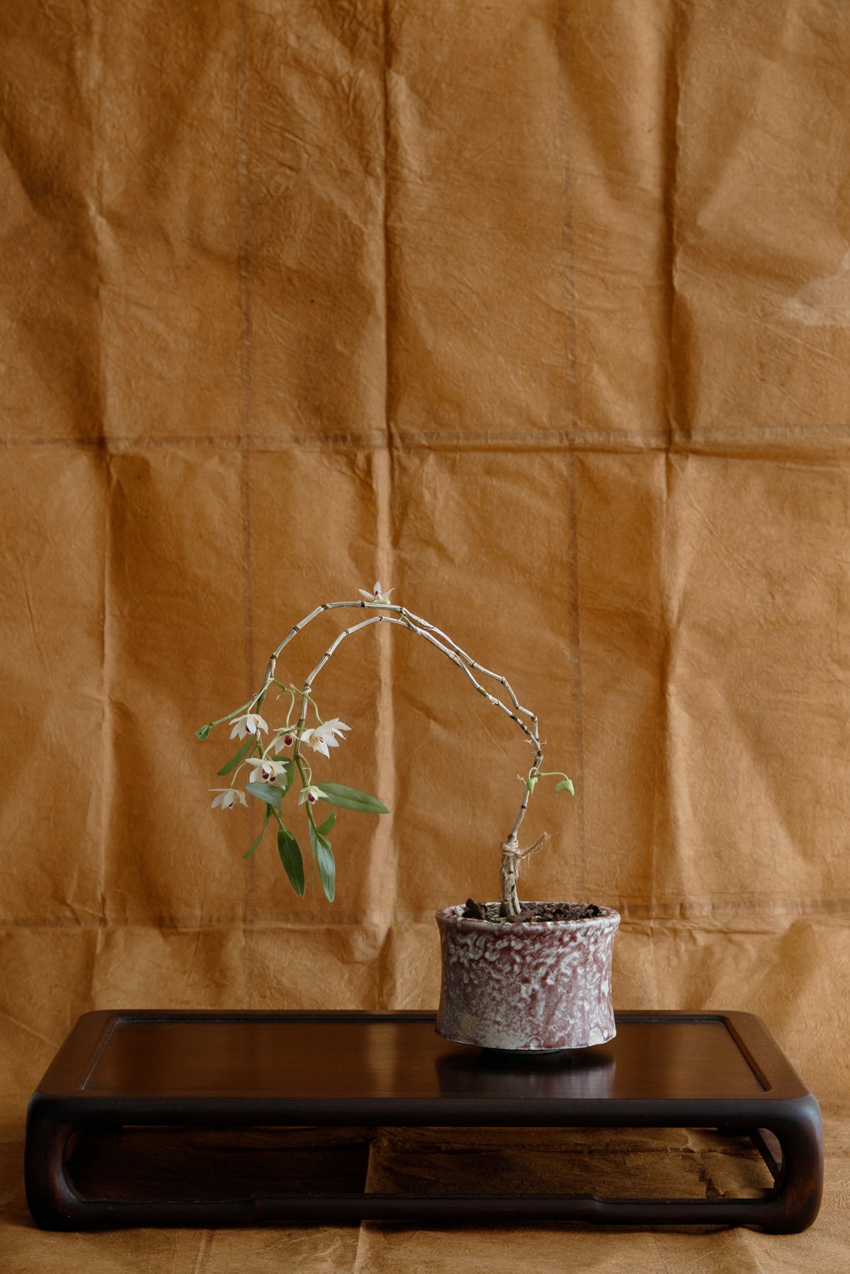 Antique Lacquer Stand 漆花台