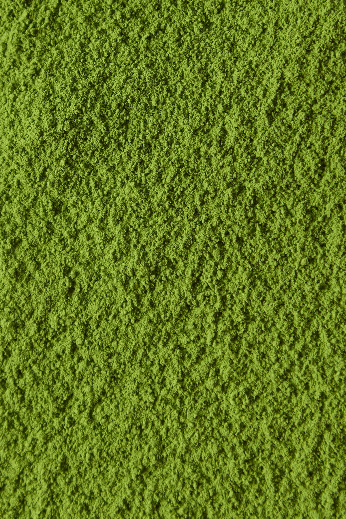 Ceremonial Matcha Ofukucha '大福茶' for Japanese New Year | Ryuouen