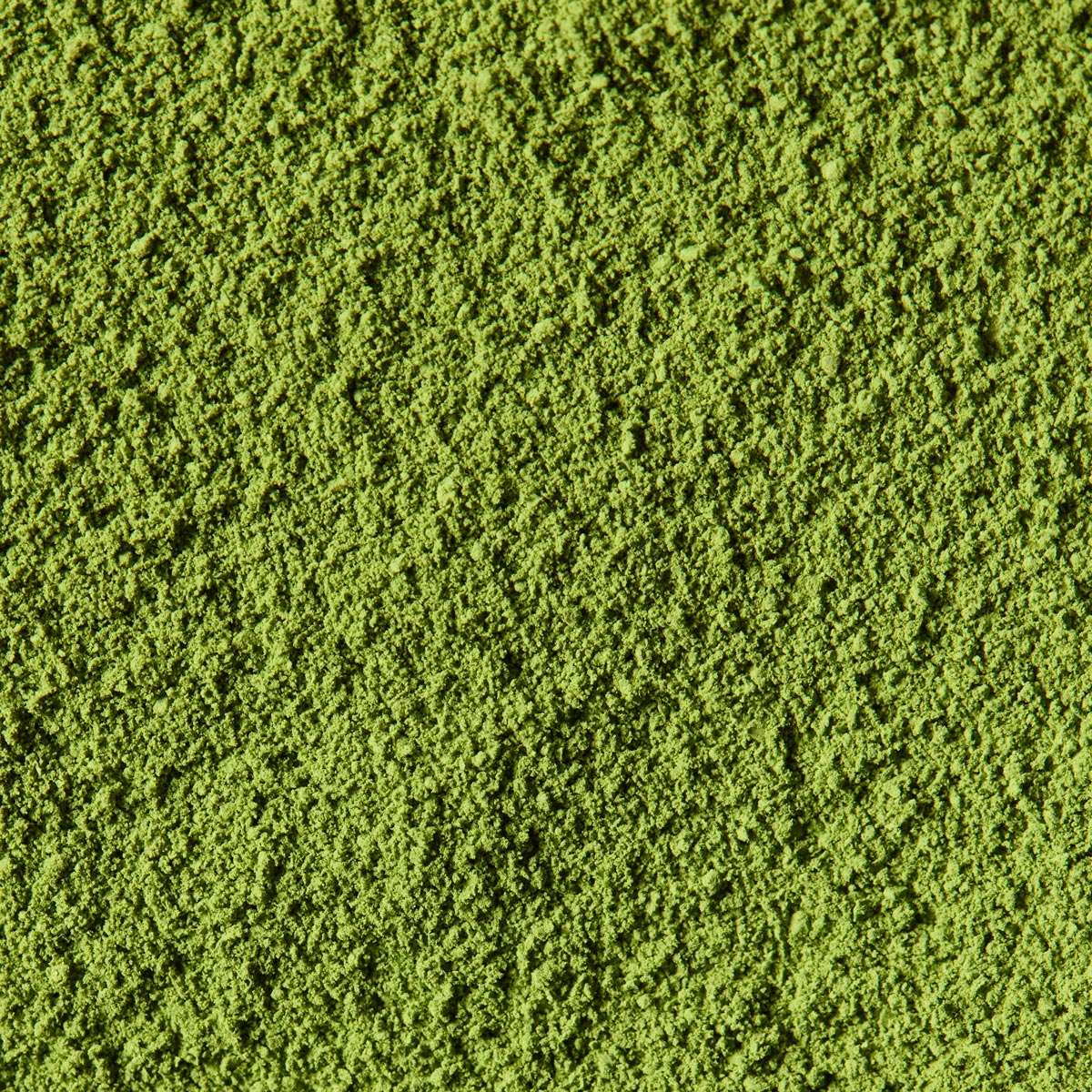 Ceremonial Matcha Uji Mukashi '宇治昔' | Nakamura Chaho