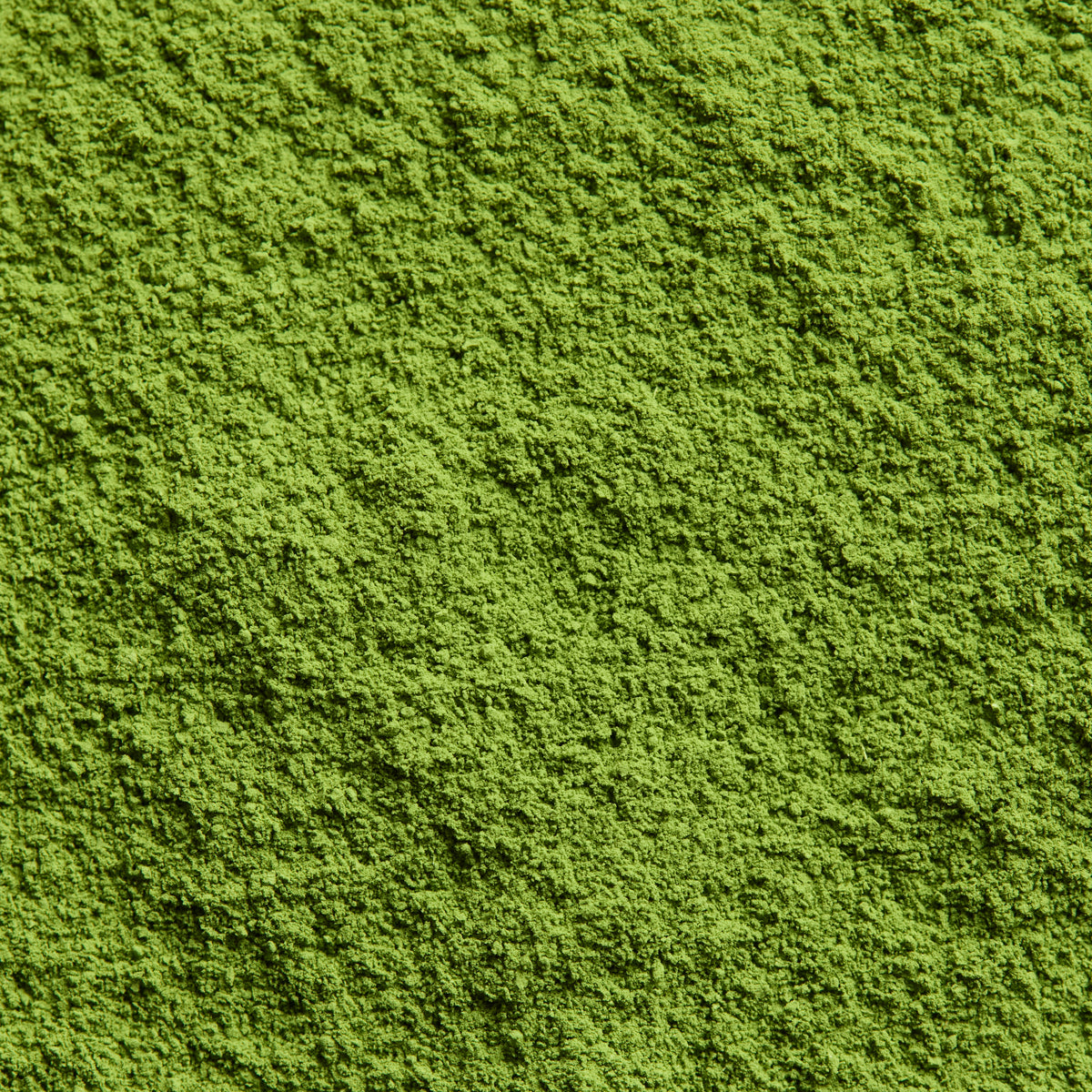 【Seasonal Only】Ceremonial Matcha 若森の白 Wakamori no Shiro | Kanbayashi Shunsho