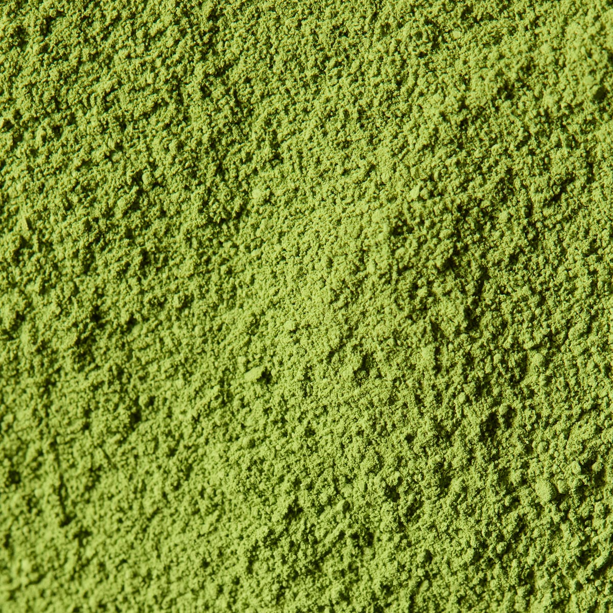 Culinary Matcha Wakatake '若竹' | Marukyu Koyamaen