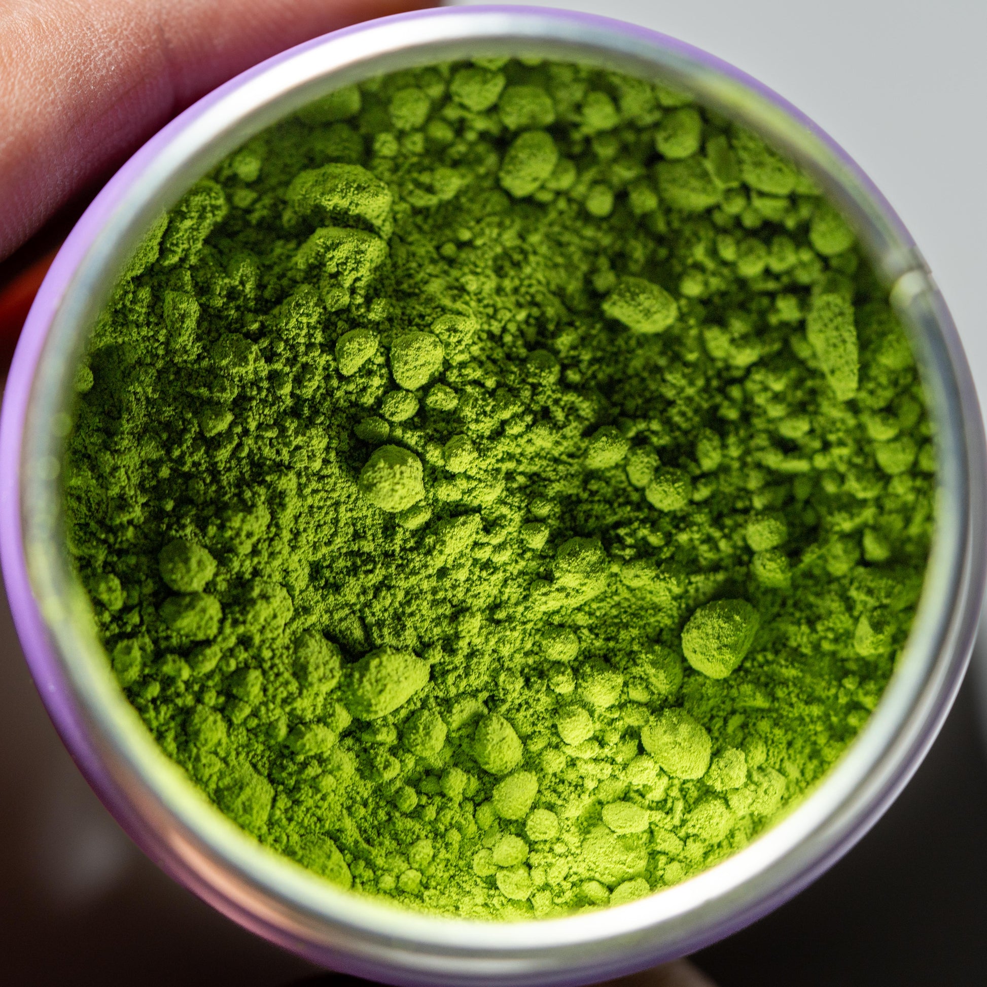 Ceremonial Matcha White Pine 松の白 Matsu no Shiro | Kanbayashi Shunsho