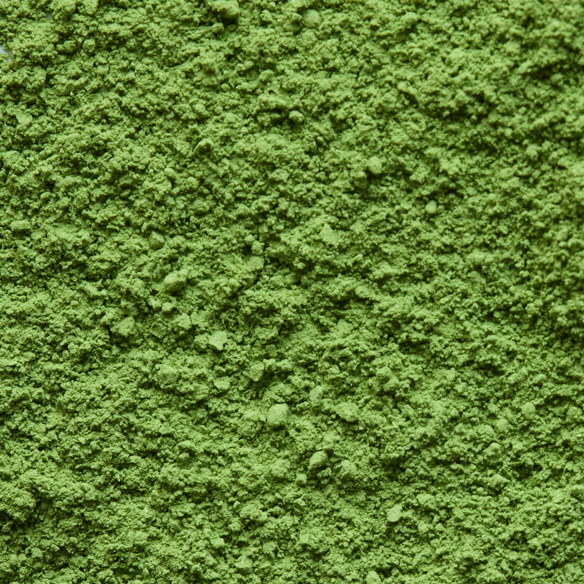 Ceremonial Matcha Samidori 'さみどり' | Yamamasa Koyamaen