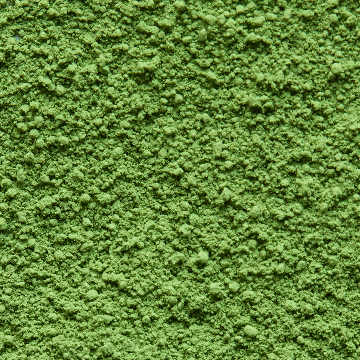 Ceremonial Matcha Ogurayama '小倉山' | Yamamasa Koyamaen