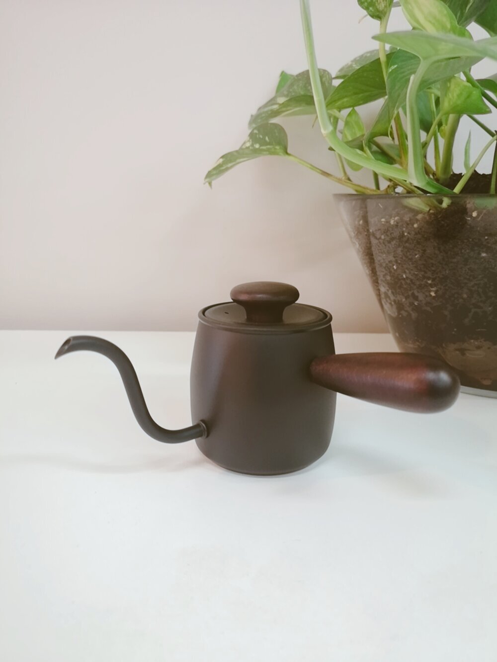 Miyaco Single Drip Pot | Miyazaki Seisakujo